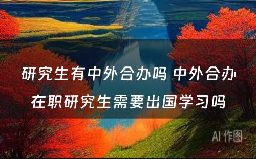 研究生有中外合办吗 中外合办在职研究生需要出国学习吗