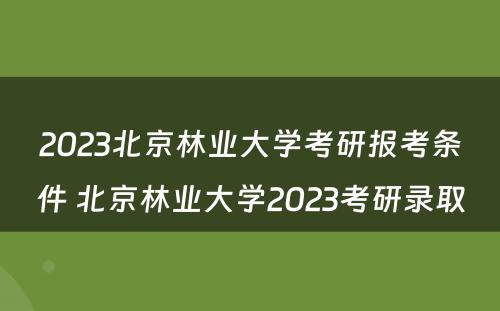 2023北京林业大学考研报考条件 北京林业大学2023考研录取