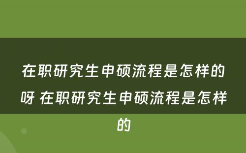 在职研究生申硕流程是怎样的呀 在职研究生申硕流程是怎样的