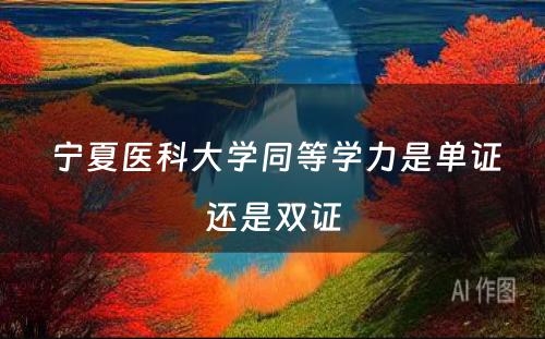  宁夏医科大学同等学力是单证还是双证