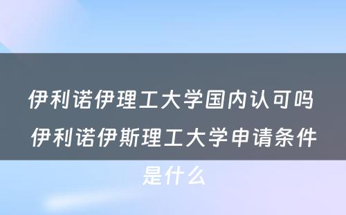 伊利诺伊理工大学国内认可吗 伊利诺伊斯理工大学申请条件是什么