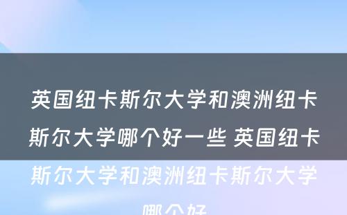 英国纽卡斯尔大学和澳洲纽卡斯尔大学哪个好一些 英国纽卡斯尔大学和澳洲纽卡斯尔大学哪个好