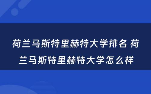 荷兰马斯特里赫特大学排名 荷兰马斯特里赫特大学怎么样