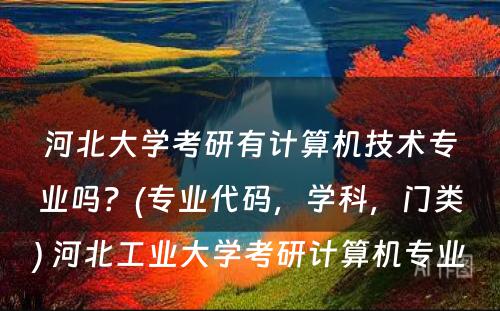 河北大学考研有计算机技术专业吗？(专业代码，学科，门类) 河北工业大学考研计算机专业