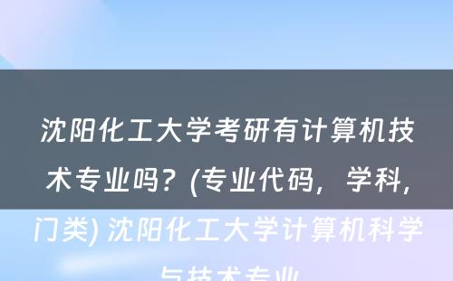 沈阳化工大学考研有计算机技术专业吗？(专业代码，学科，门类) 沈阳化工大学计算机科学与技术专业