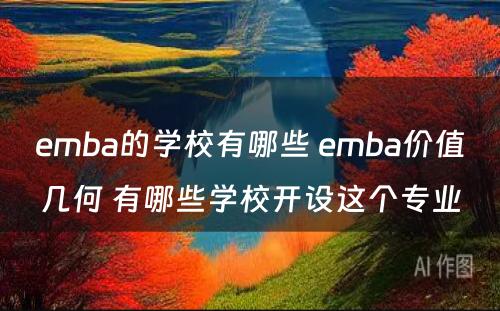 emba的学校有哪些 emba价值几何 有哪些学校开设这个专业