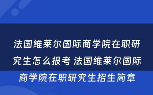 法国维莱尔国际商学院在职研究生怎么报考 法国维莱尔国际商学院在职研究生招生简章