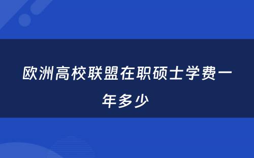 欧洲高校联盟在职硕士学费一年多少 