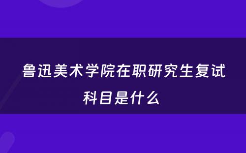 鲁迅美术学院在职研究生复试科目是什么 