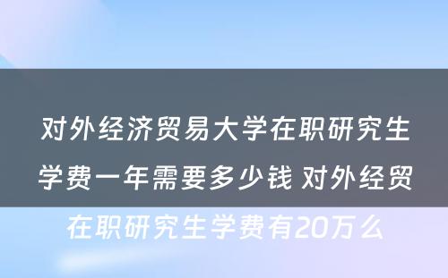 对外经济贸易大学在职研究生学费一年需要多少钱 对外经贸在职研究生学费有20万么