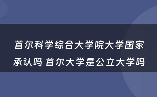 首尔科学综合大学院大学国家承认吗 首尔大学是公立大学吗