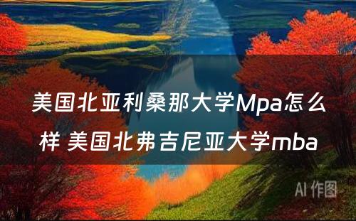 美国北亚利桑那大学Mpa怎么样 美国北弗吉尼亚大学mba