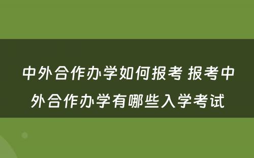 中外合作办学如何报考 报考中外合作办学有哪些入学考试