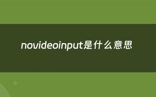 novideoinput是什么意思 