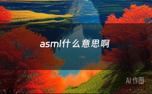 asml什么意思啊 