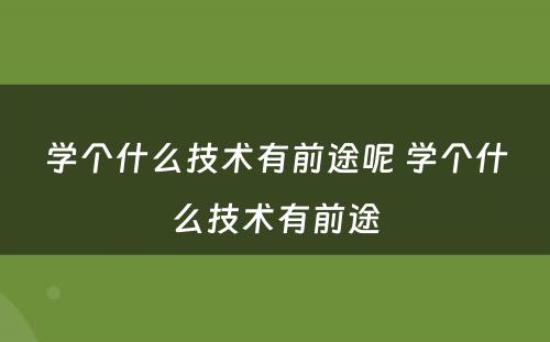 学个什么技术有前途呢 学个什么技术有前途