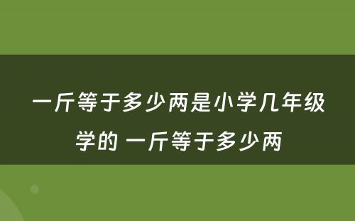 一斤等于多少两是小学几年级学的 一斤等于多少两