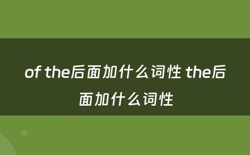 of the后面加什么词性 the后面加什么词性