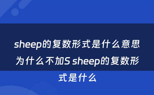 sheep的复数形式是什么意思为什么不加S sheep的复数形式是什么