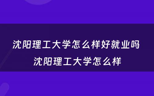 沈阳理工大学怎么样好就业吗 沈阳理工大学怎么样