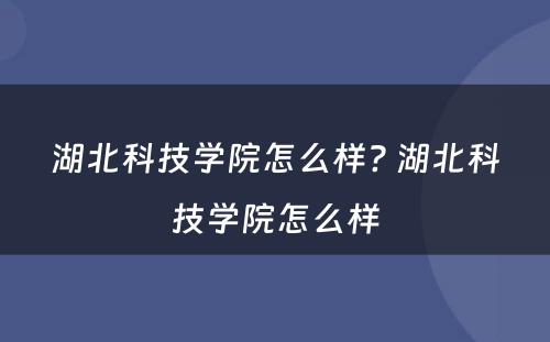 湖北科技学院怎么样? 湖北科技学院怎么样