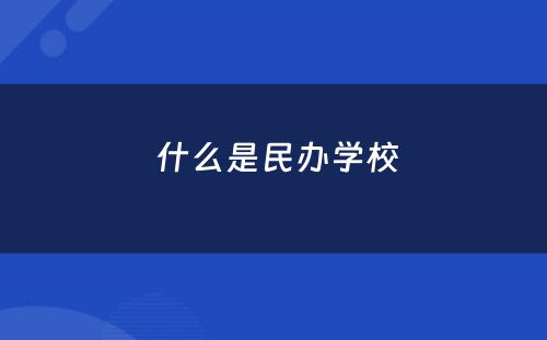  什么是民办学校