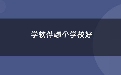  学软件哪个学校好