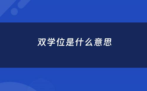  双学位是什么意思