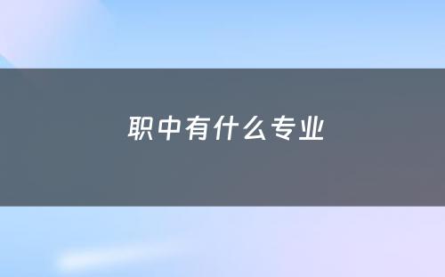  职中有什么专业