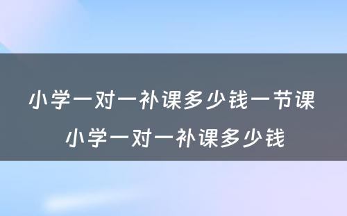 小学一对一补课多少钱一节课 小学一对一补课多少钱