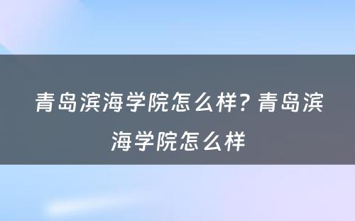 青岛滨海学院怎么样? 青岛滨海学院怎么样