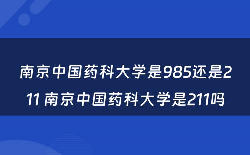 南京中国药科大学是985还是211 南京中国药科大学是211吗