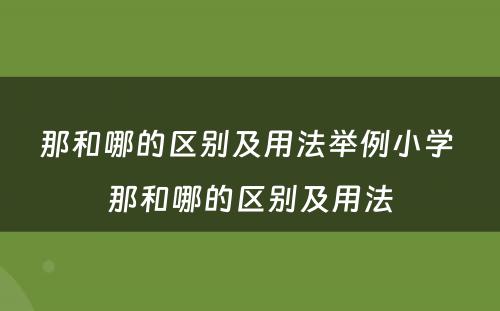 那和哪的区别及用法举例小学 那和哪的区别及用法