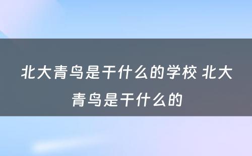 北大青鸟是干什么的学校 北大青鸟是干什么的