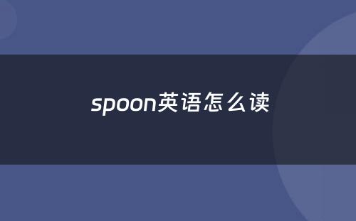  spoon英语怎么读