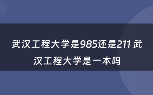 武汉工程大学是985还是211 武汉工程大学是一本吗