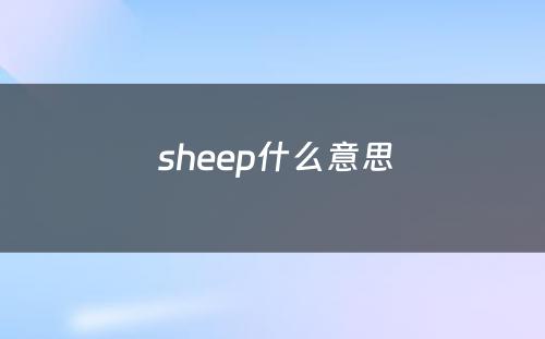  sheep什么意思