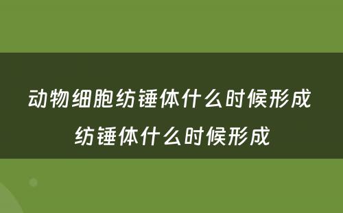 动物细胞纺锤体什么时候形成 纺锤体什么时候形成