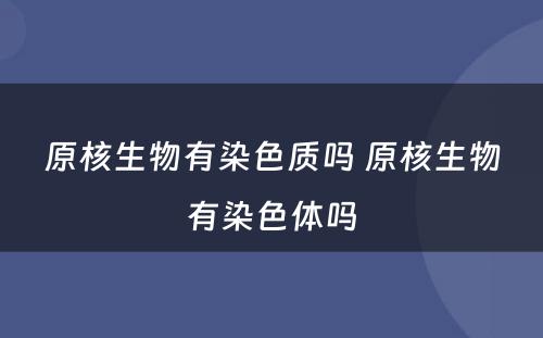 原核生物有染色质吗 原核生物有染色体吗