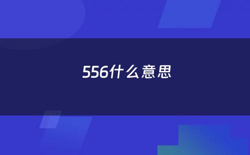  556什么意思