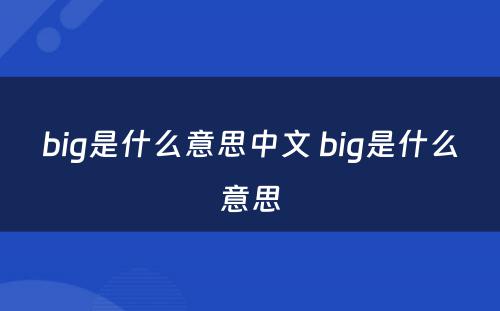 big是什么意思中文 big是什么意思