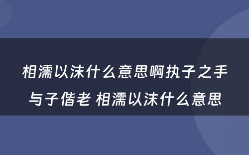 相濡以沫什么意思啊执子之手与子偕老 相濡以沫什么意思