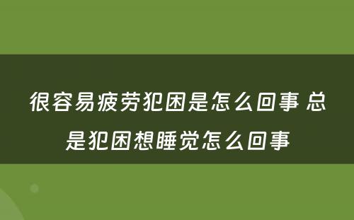 很容易疲劳犯困是怎么回事 总是犯困想睡觉怎么回事