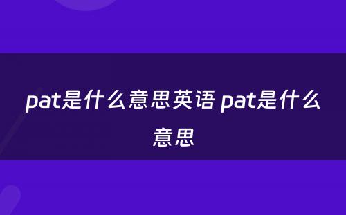 pat是什么意思英语 pat是什么意思