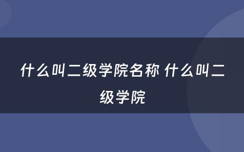 什么叫二级学院名称 什么叫二级学院