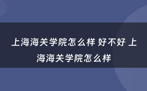 上海海关学院怎么样 好不好 上海海关学院怎么样