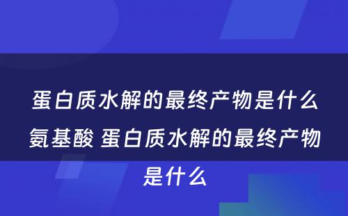 蛋白质水解的最终产物是什么氨基酸 蛋白质水解的最终产物是什么