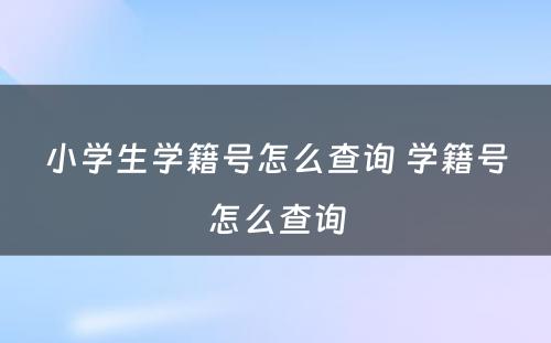 小学生学籍号怎么查询 学籍号怎么查询