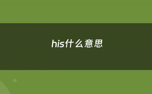  his什么意思