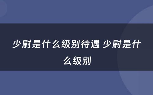 少尉是什么级别待遇 少尉是什么级别